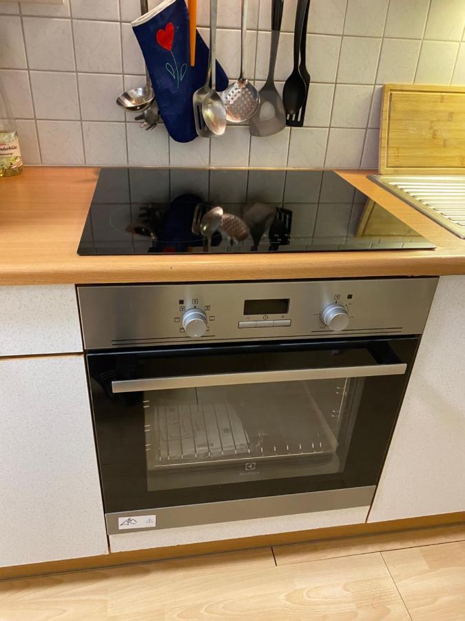 רמסאו אם דכשטיין Dachsteinblick Apartment מראה חיצוני תמונה